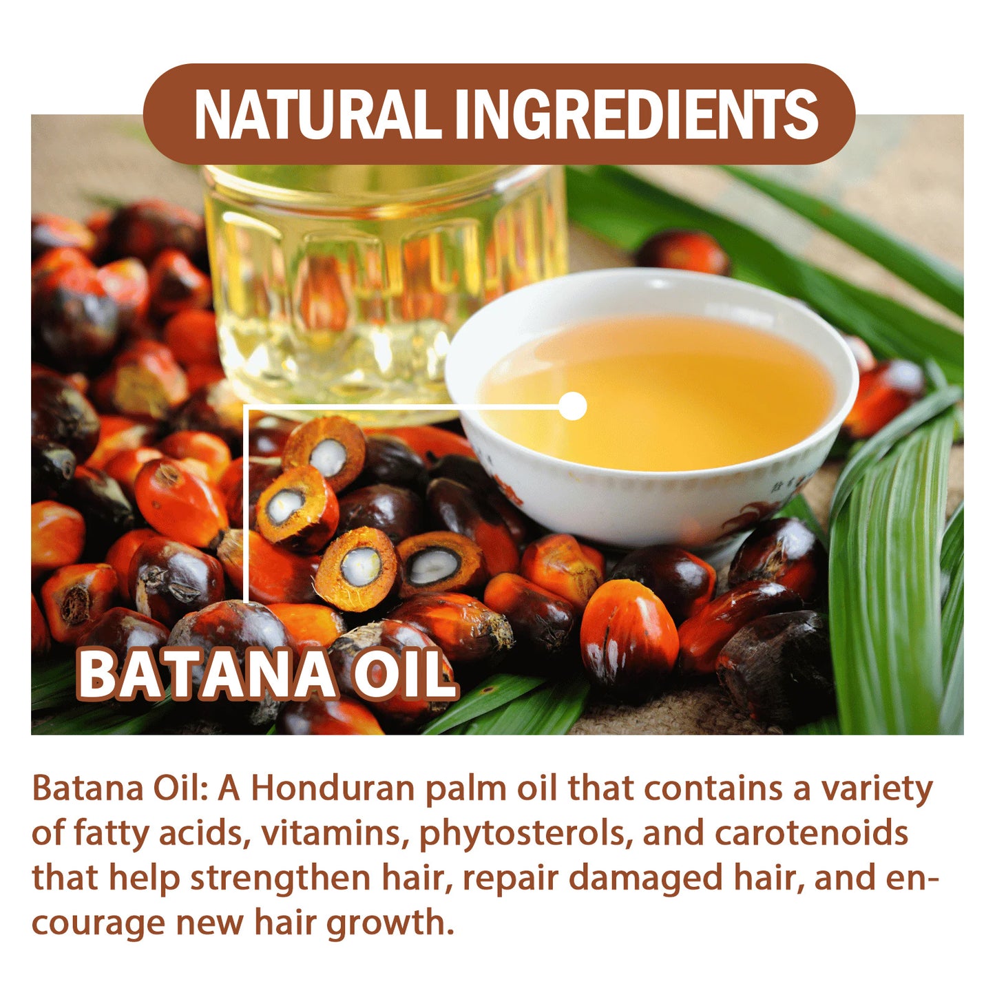 Natural Batana Oil for Hair Growth - Unrefined From Honduras - Inspired by Dr. Sebi